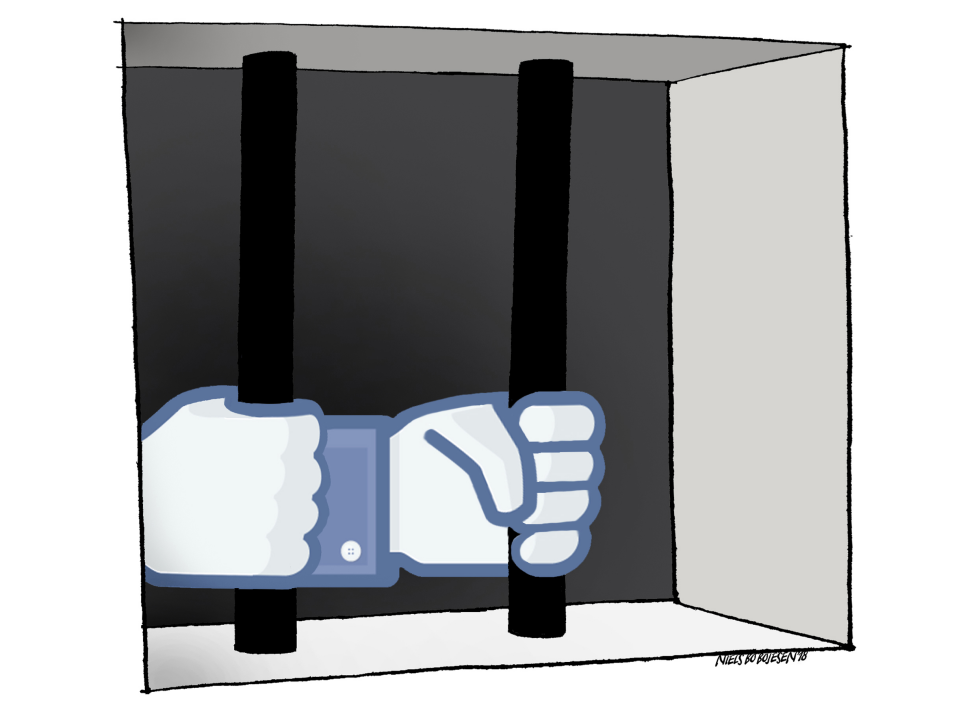 Social media poses threat to democracy