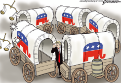 CIRCLING THE WAGONS by Steve Greenberg