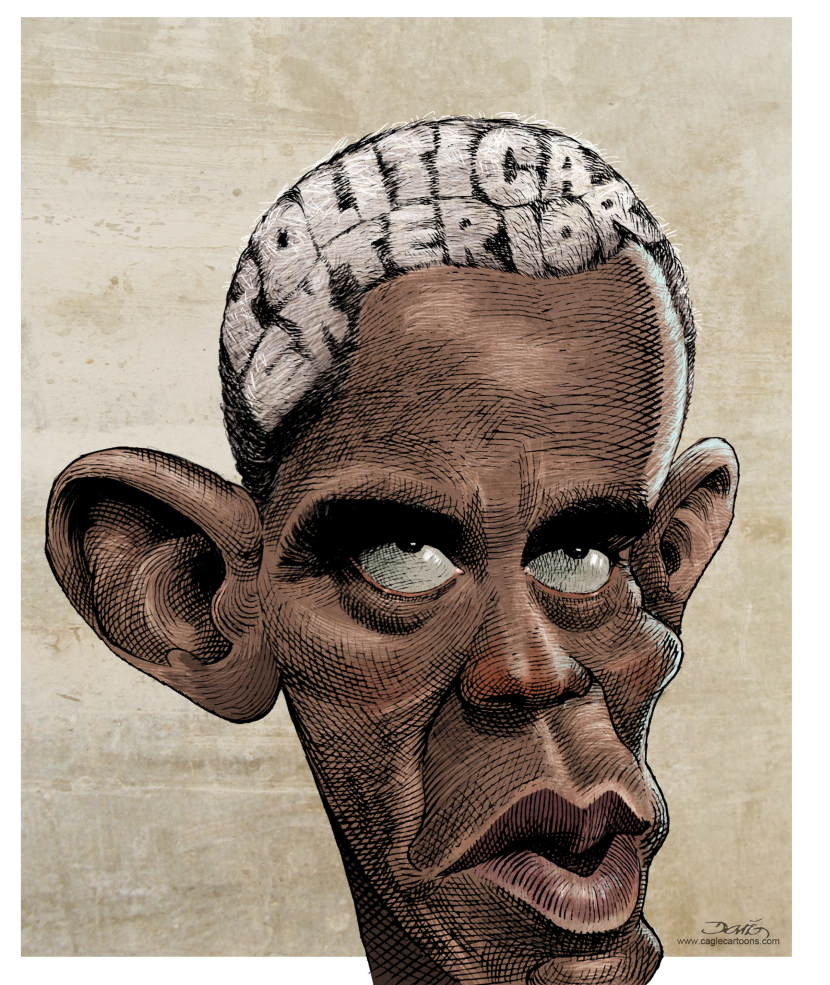 Obamas Gray Hair