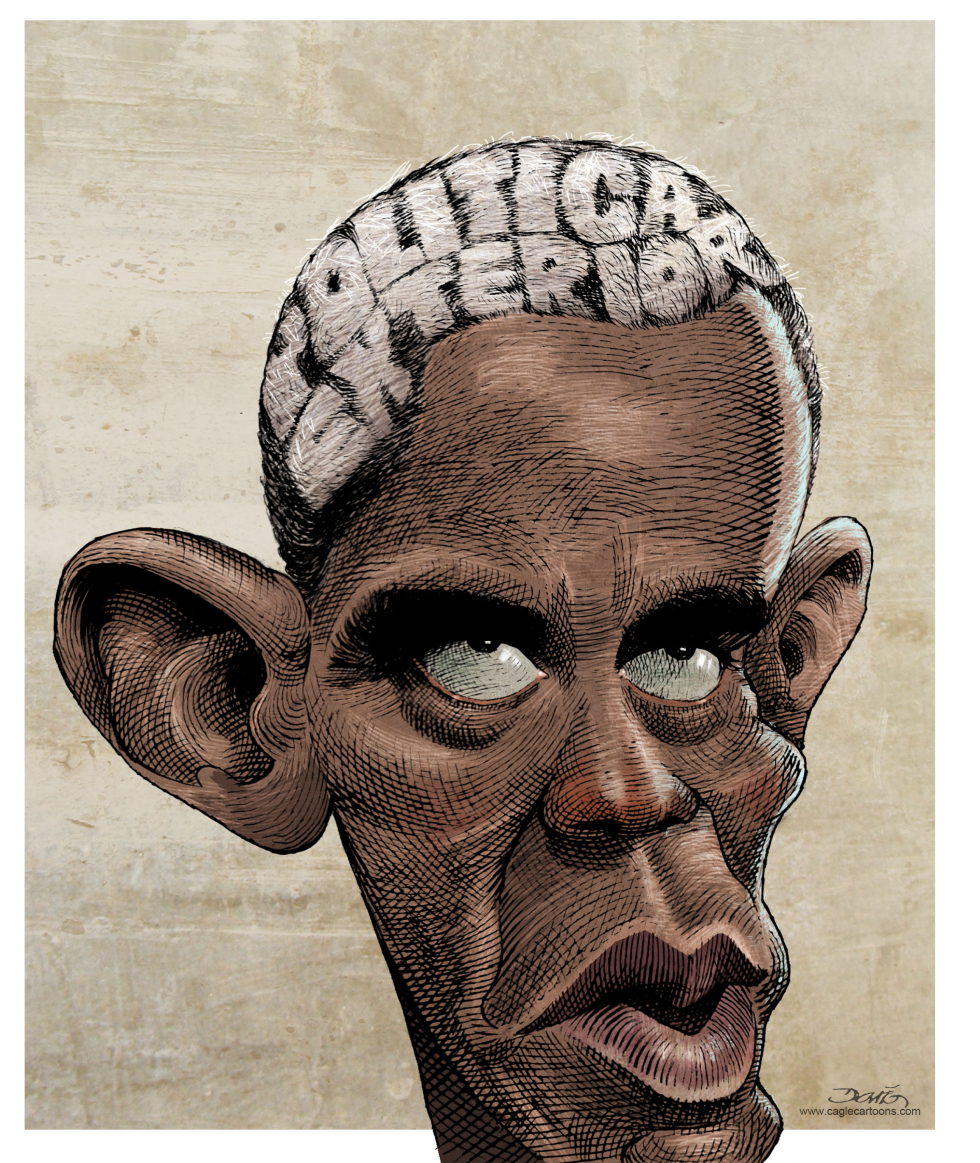 Obamas Gray Hair