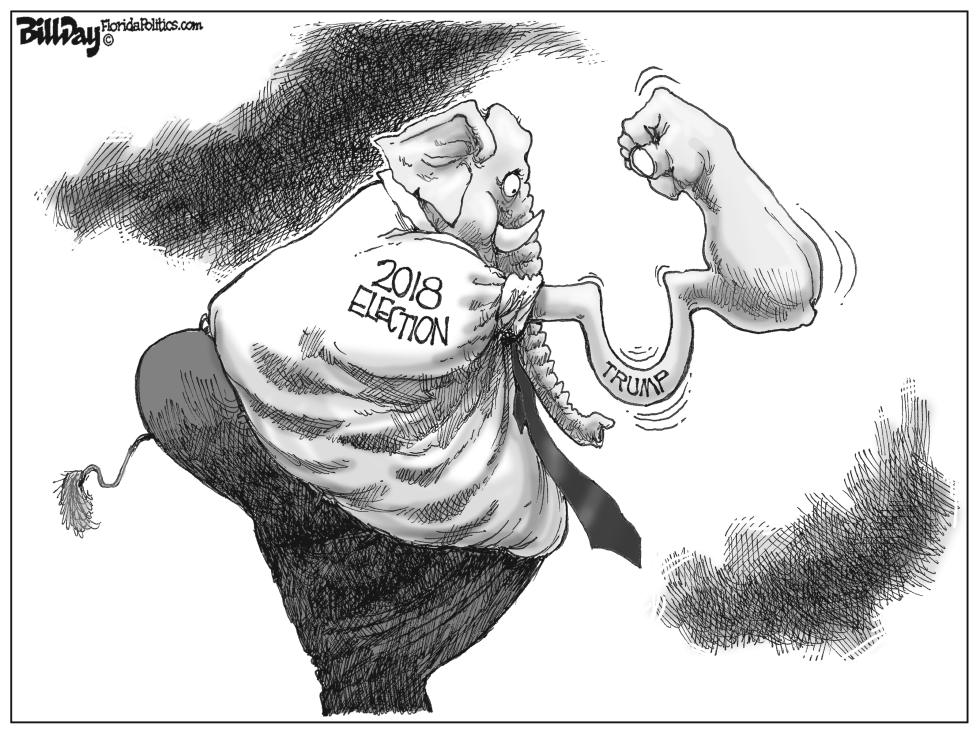 2018 Election