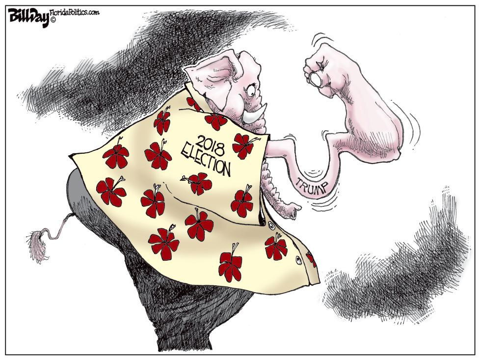 2018 Election FLORIDA