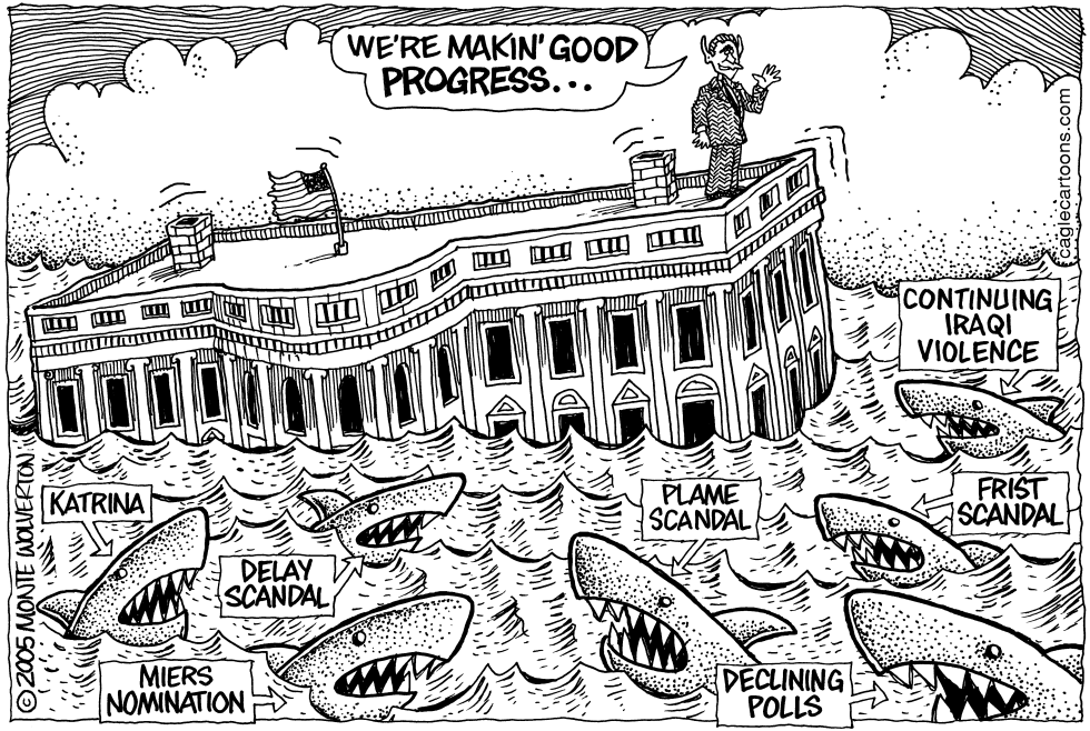 Shark Infested Waters