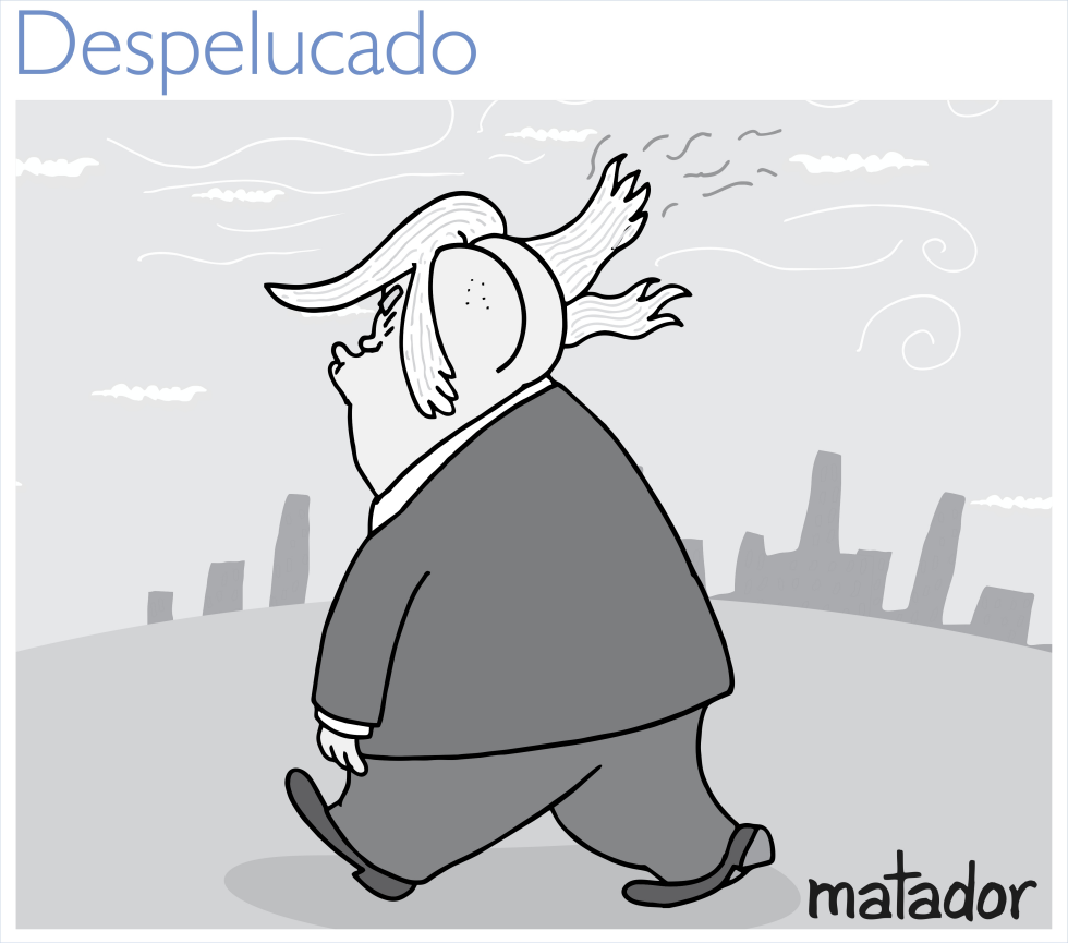 The Trump hair