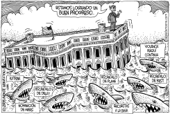 AGUAS INFESTADAS DE TIBURONES by Monte Wolverton