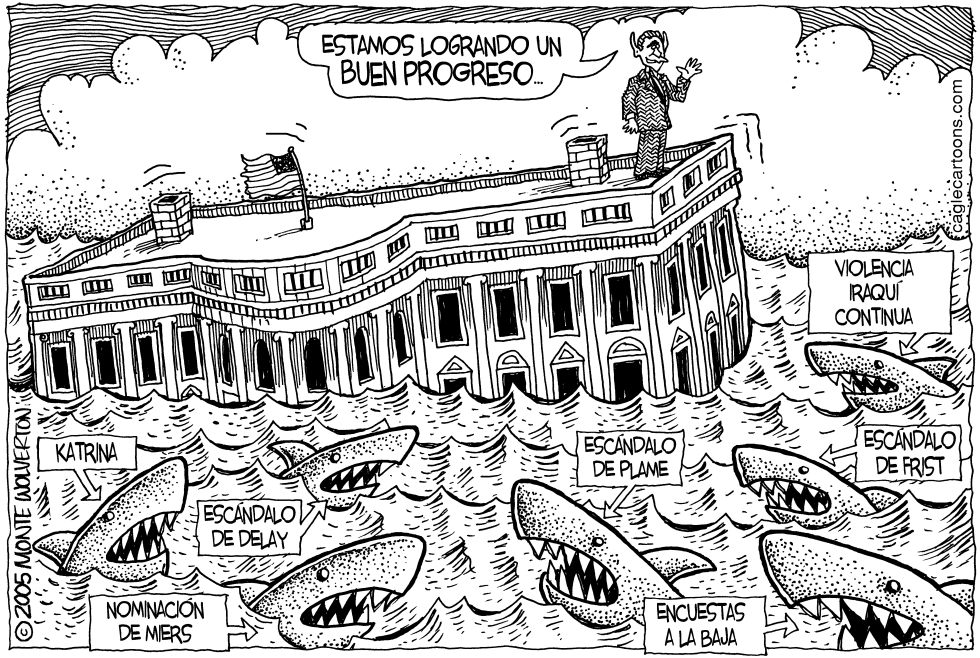 Aguas infestadas de tiburones