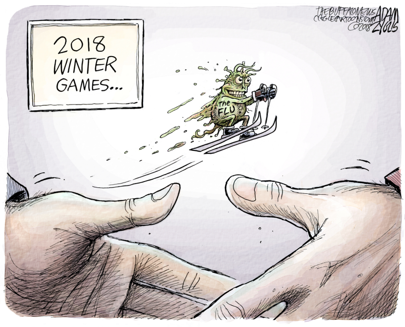 The Flu