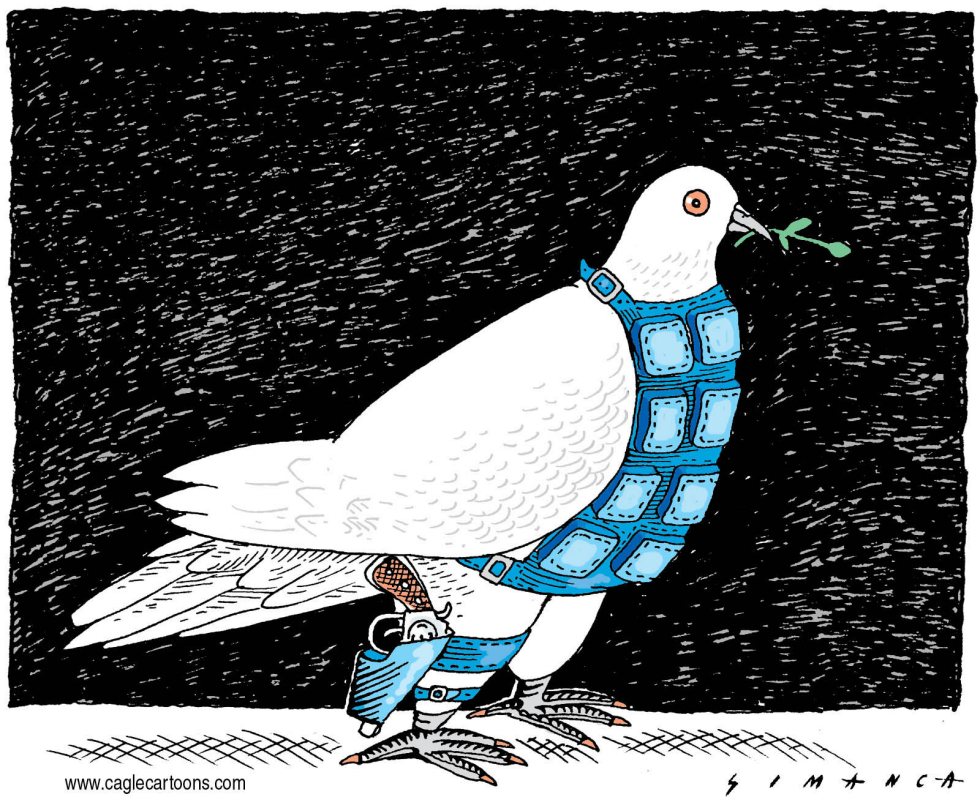 Dove / COLOR