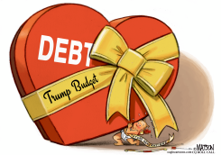 TRUMP BUDGET DEFICITS VALENTINE by R.J. Matson