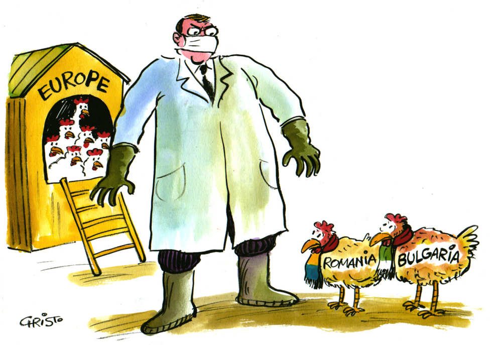 Europe's Poultry - COLOR