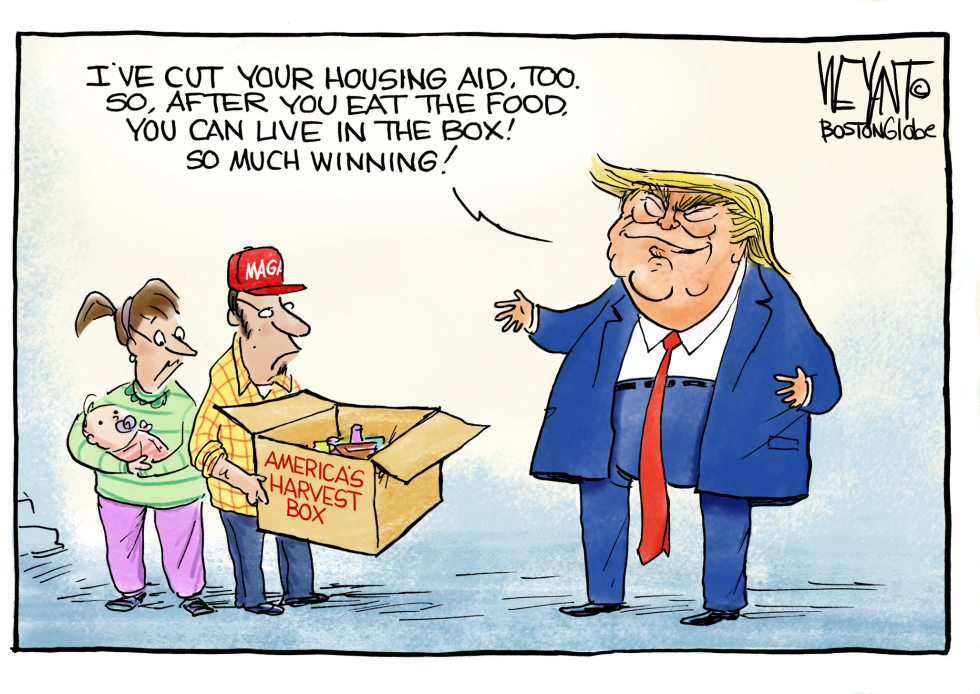In A Box