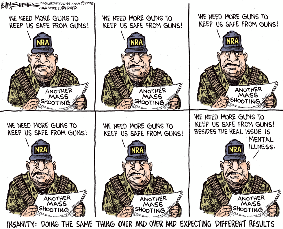 Mass Shooting Insanity