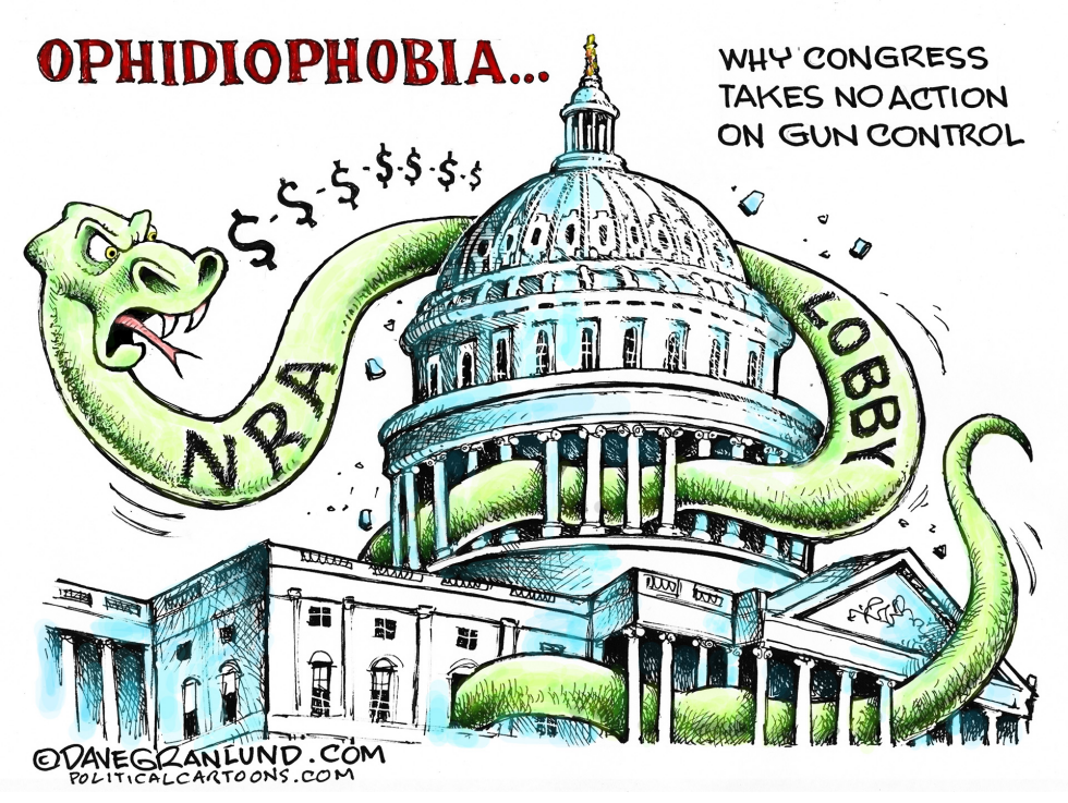  CONGRESS AND NRA by Dave Granlund