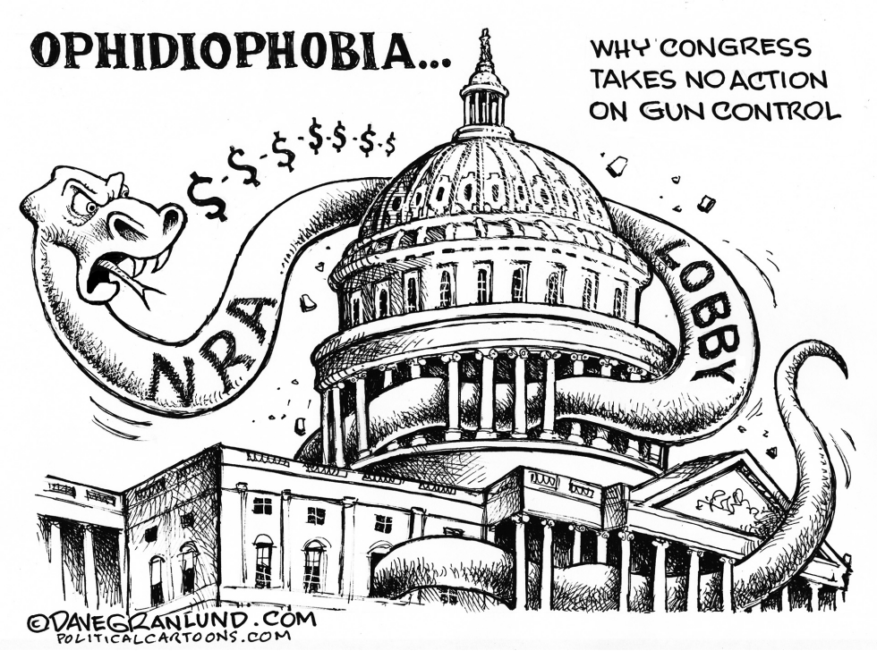 Congress and NRA