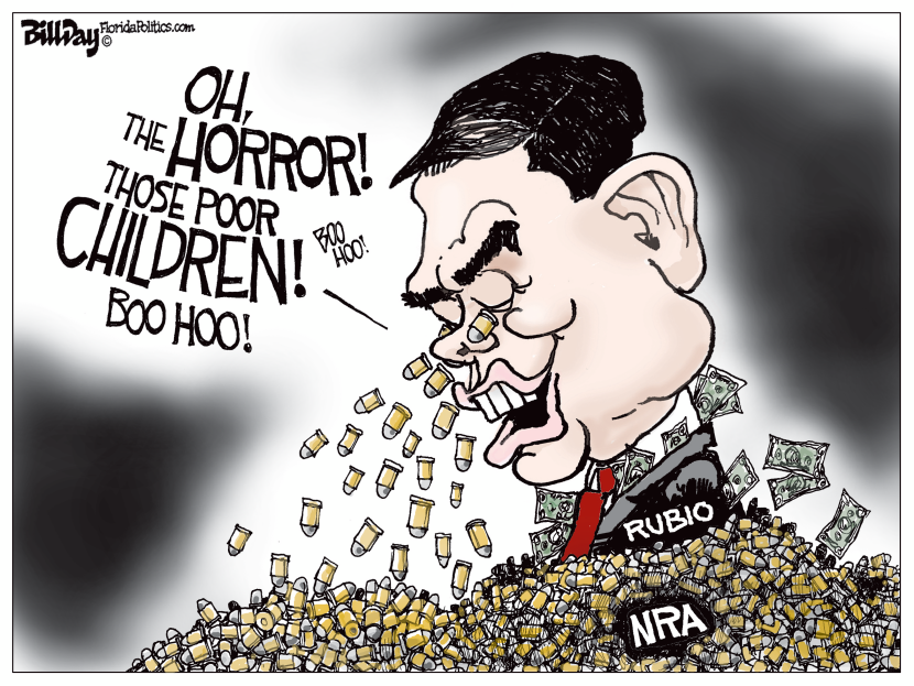 NRA Guy