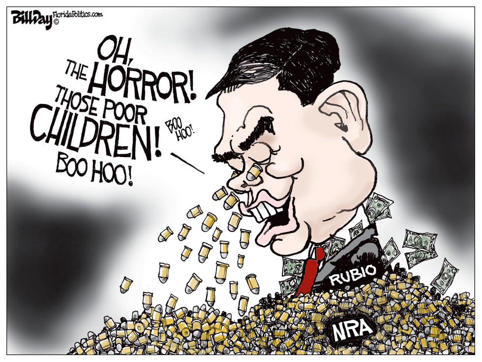 NRA Guy
