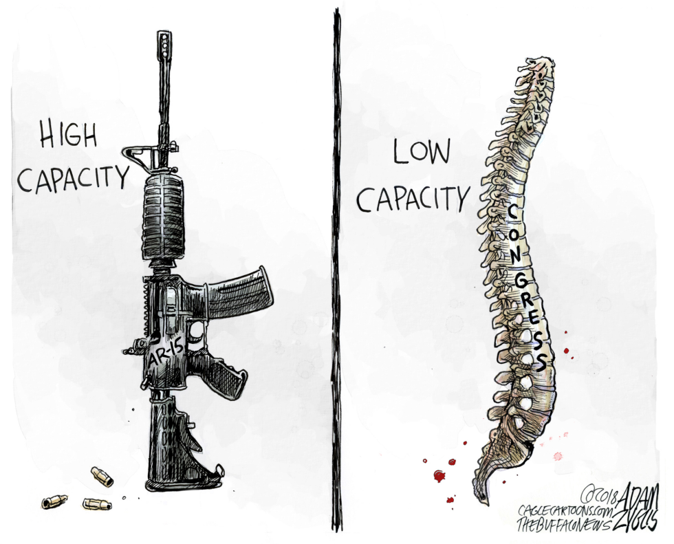 Parkland Shooting