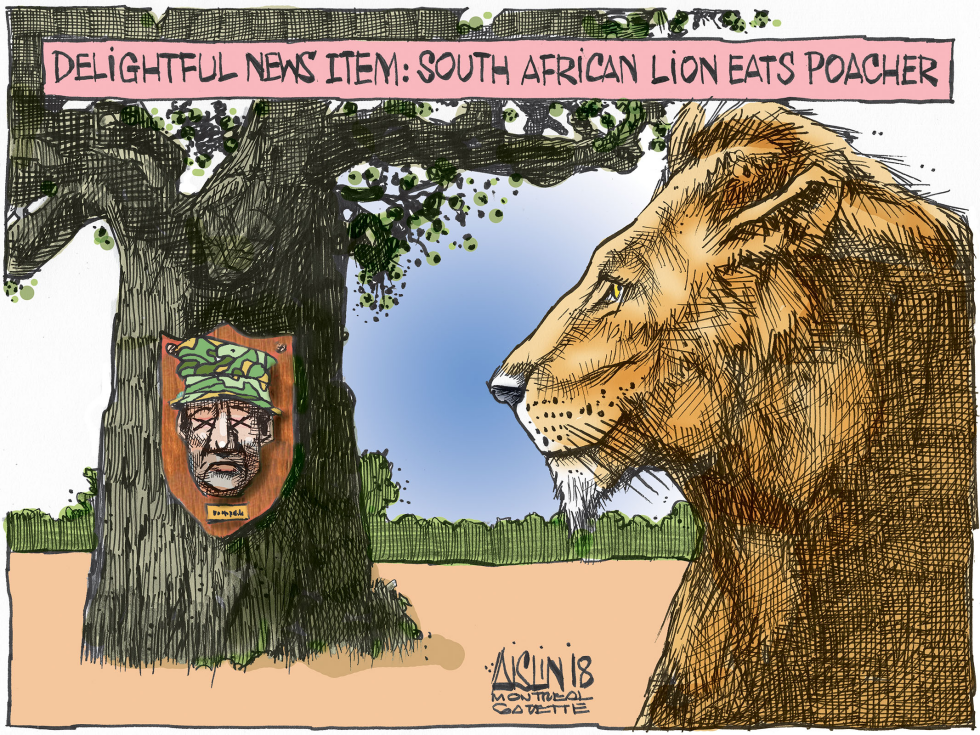 Lions eat South African poacher