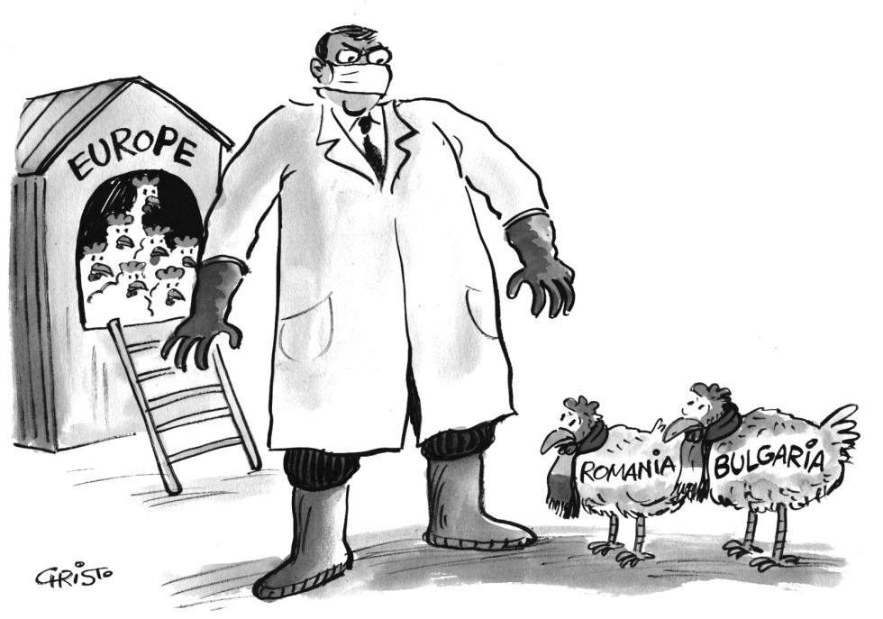 Europe's Poultry - grayscale