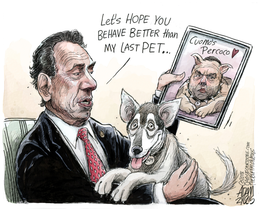  NY CUOMO'S NEW DOG by Adam Zyglis