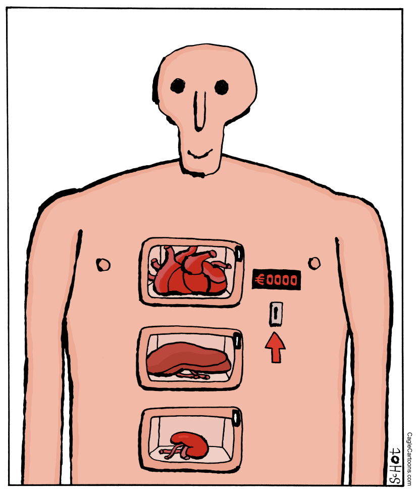 organ trafficking