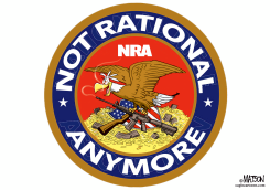 GUN CRAZY NRA SEAL by R.J. Matson