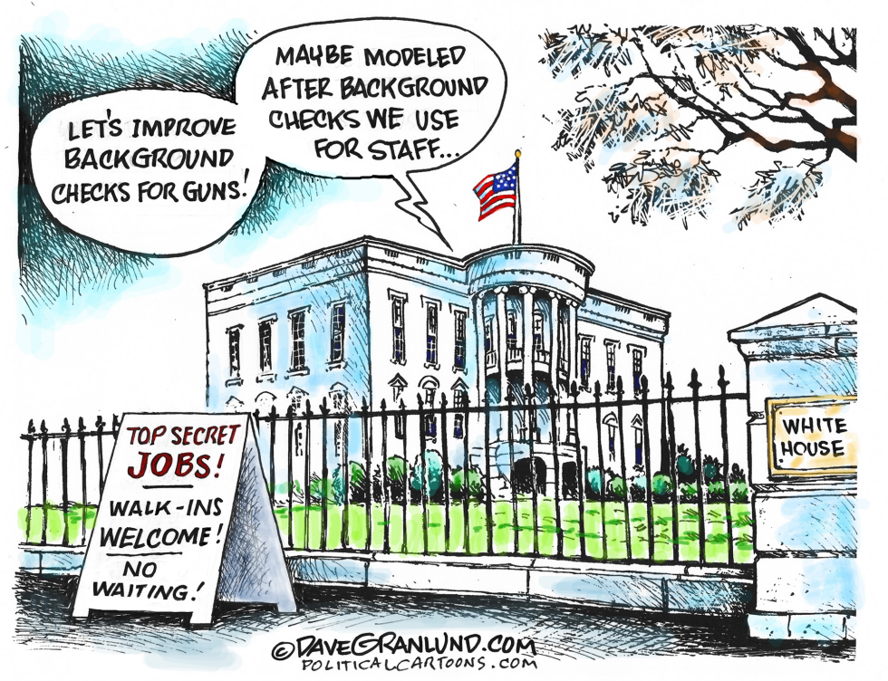 Gun background checks