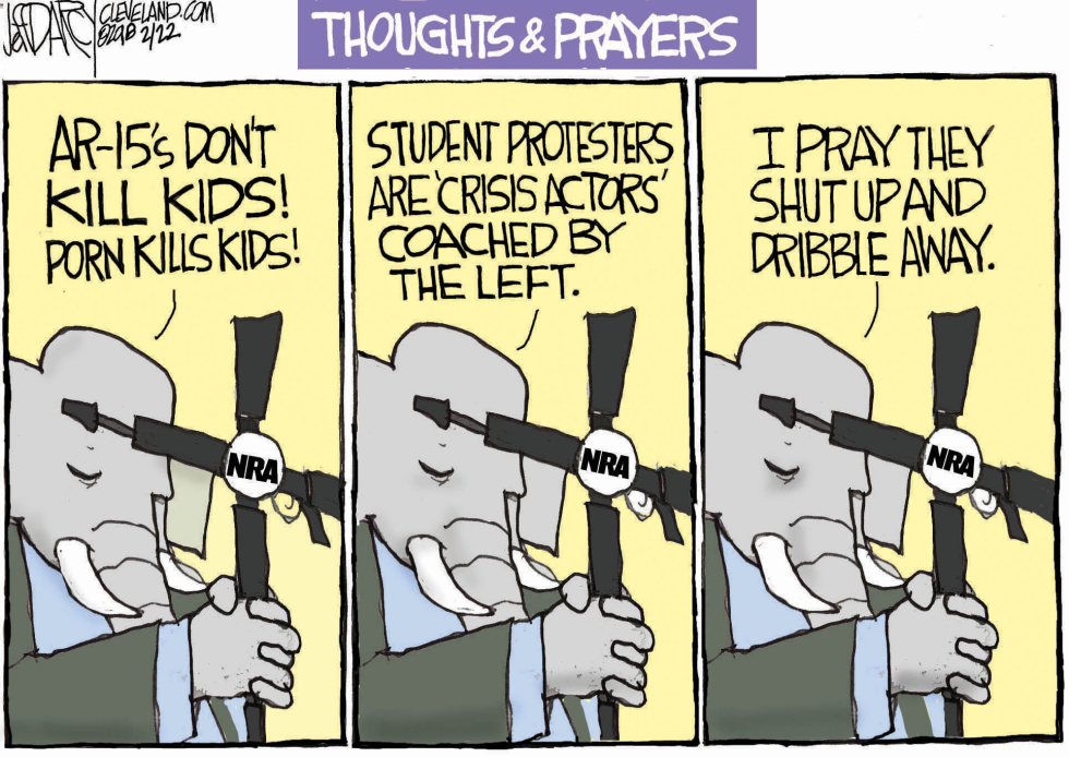 Parkland Students Smeared