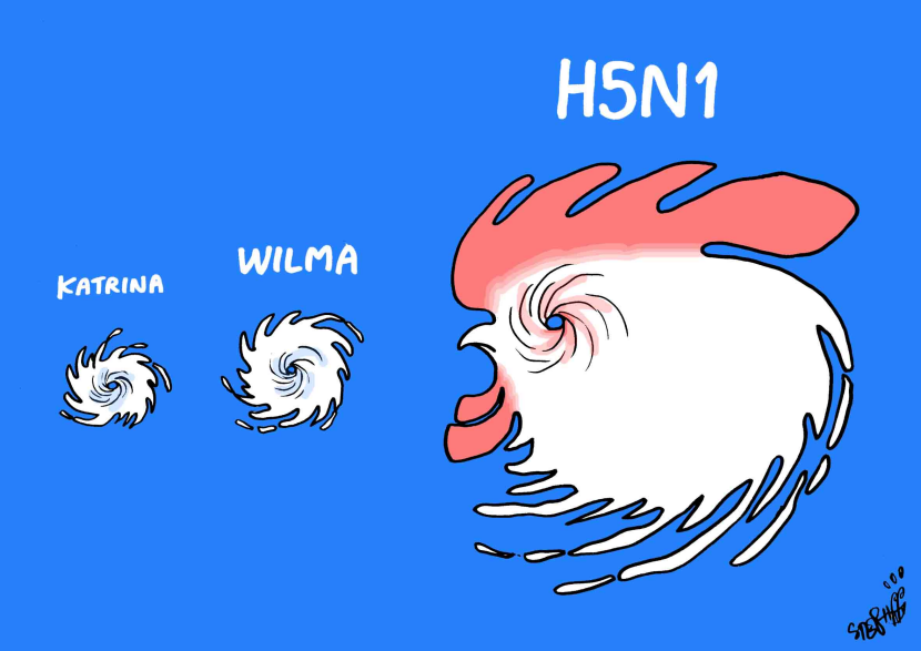 Next monster Hurricane