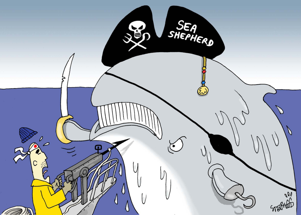 Sea Shepherd vs Japanese whalers