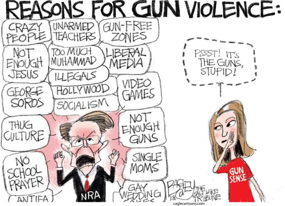 Gun Sense