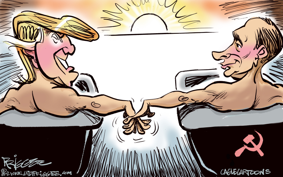 No Collusion