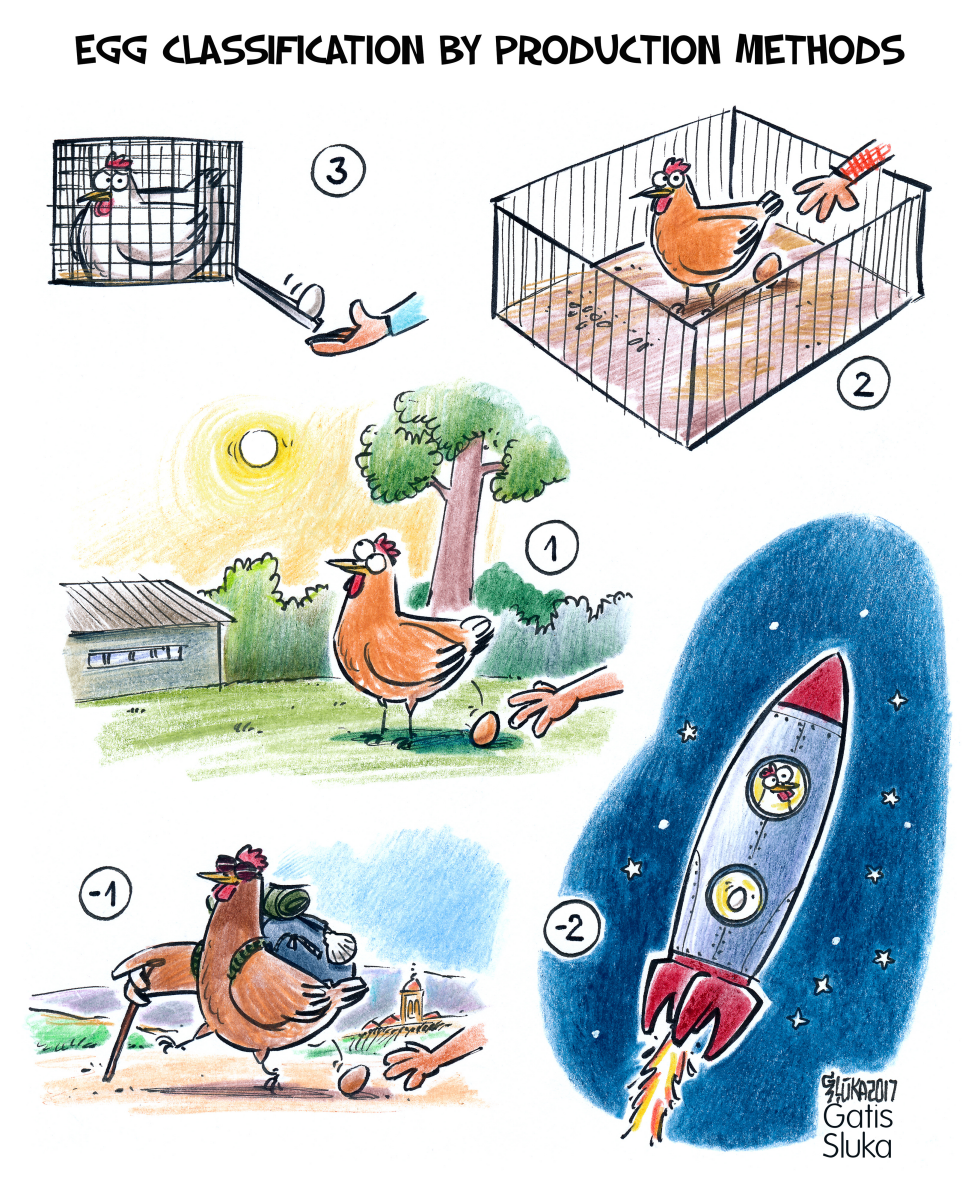 Egg classification