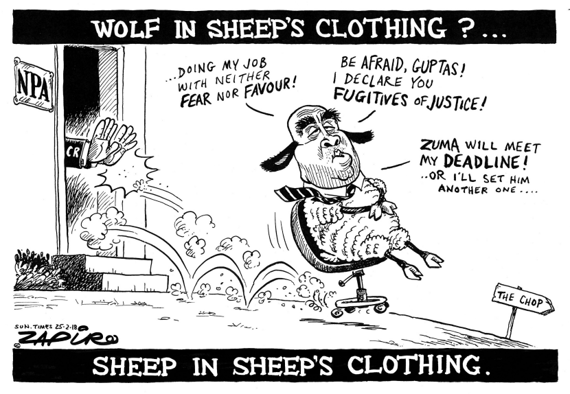 Wolf in Sheeps Clothing