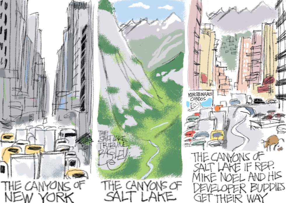  LOCAL PAVE PARADISE by Pat Bagley