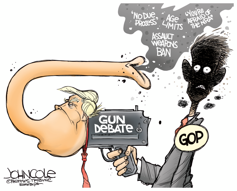 Trump GOP and guns
