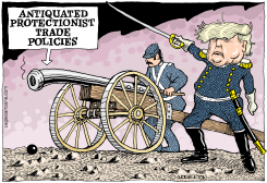 TRUMP TARIFFS by Monte Wolverton