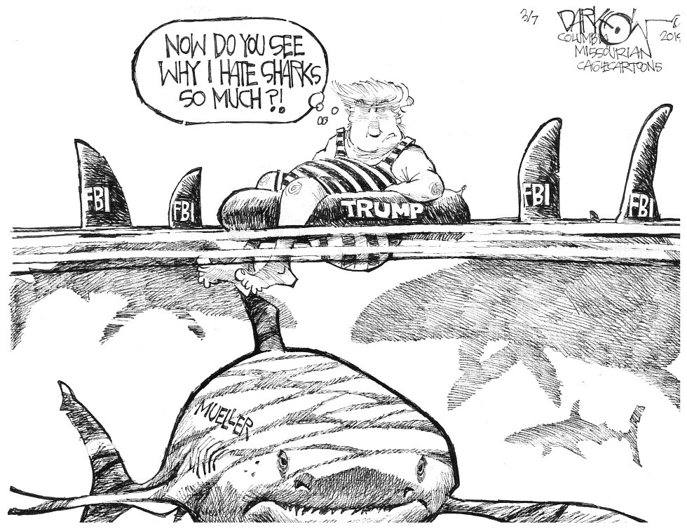 Mueller circling