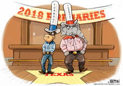 MEASURING TEXAS PRIMARIES TURNOUT by R.J. Matson
