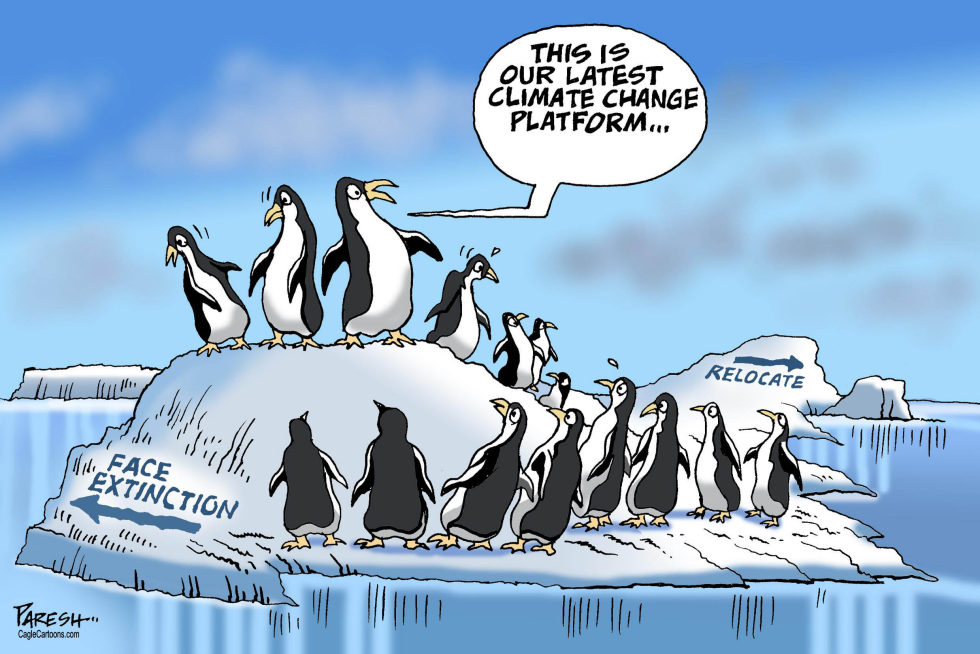 Penguins in Antarctica