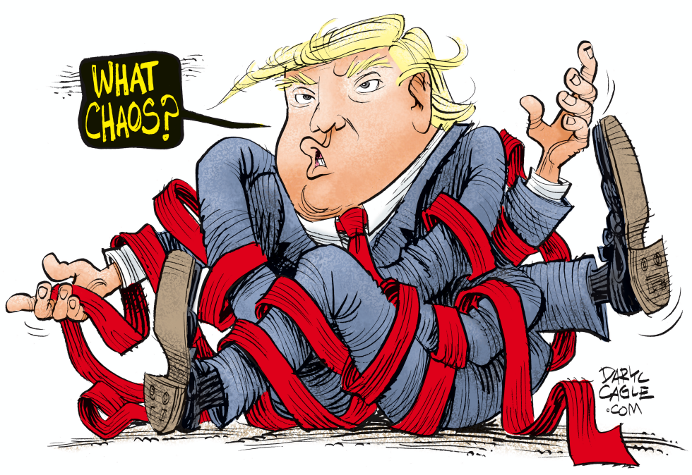 Trump Chaos