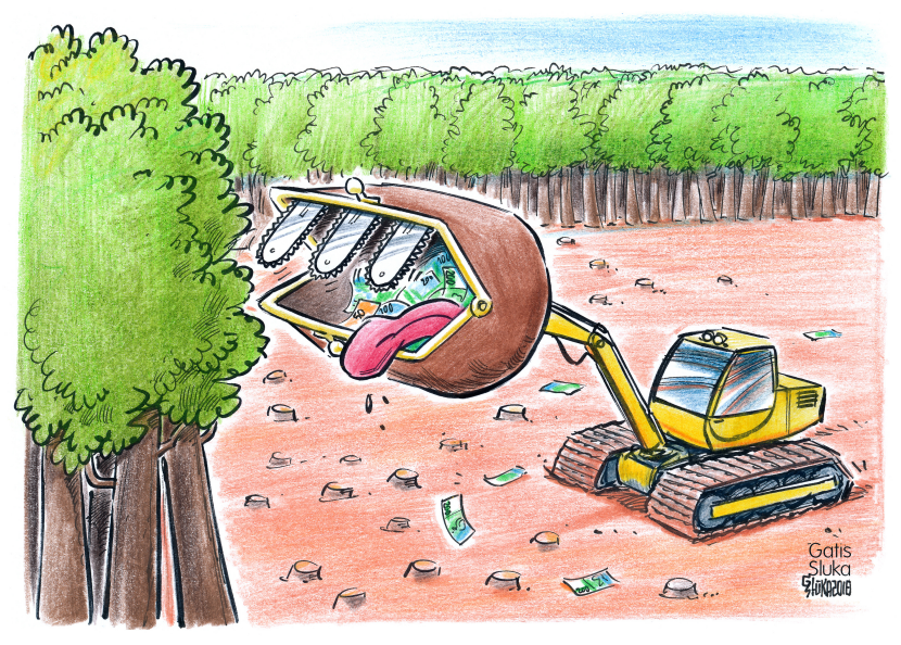 Deforestation in Brazil