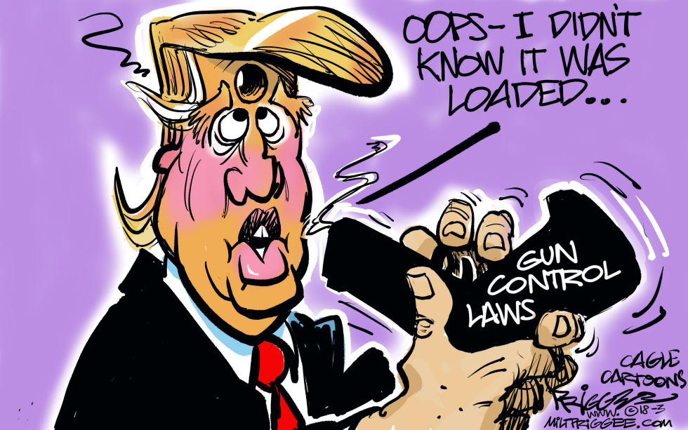 Gun Control Laws