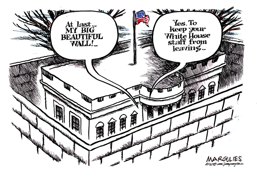 Trump Wall color