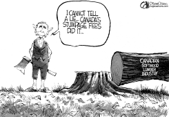 CANADA SOFTWOOD LIE by Cam Cardow