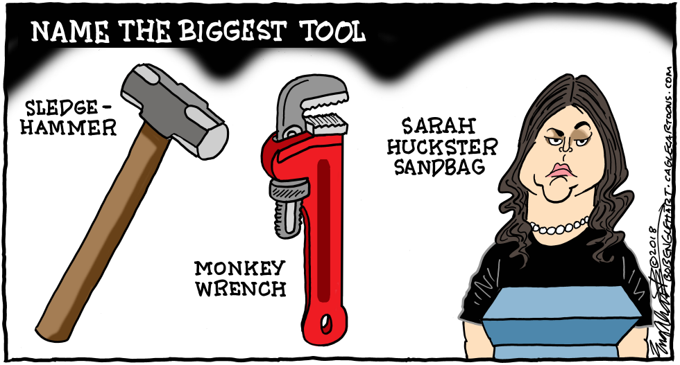 Sarah Sanders