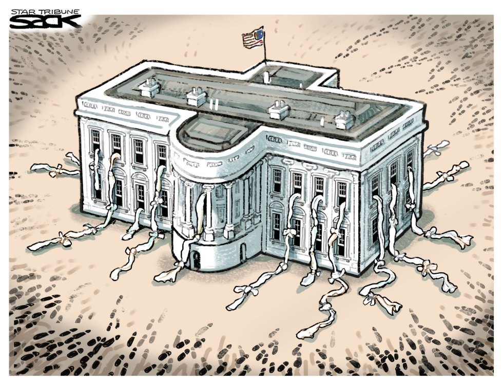 Trump Administration Chaos