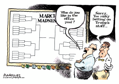 MARCH MADNESS BRACKETS by Jimmy Margulies