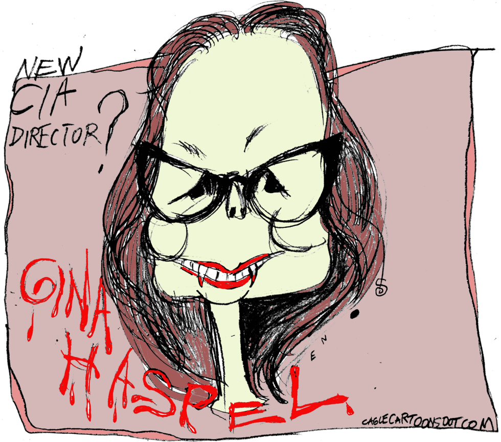 Gina Haspel