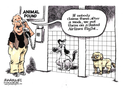 UNITED AIRLINES DOG DEATH  by Jimmy Margulies